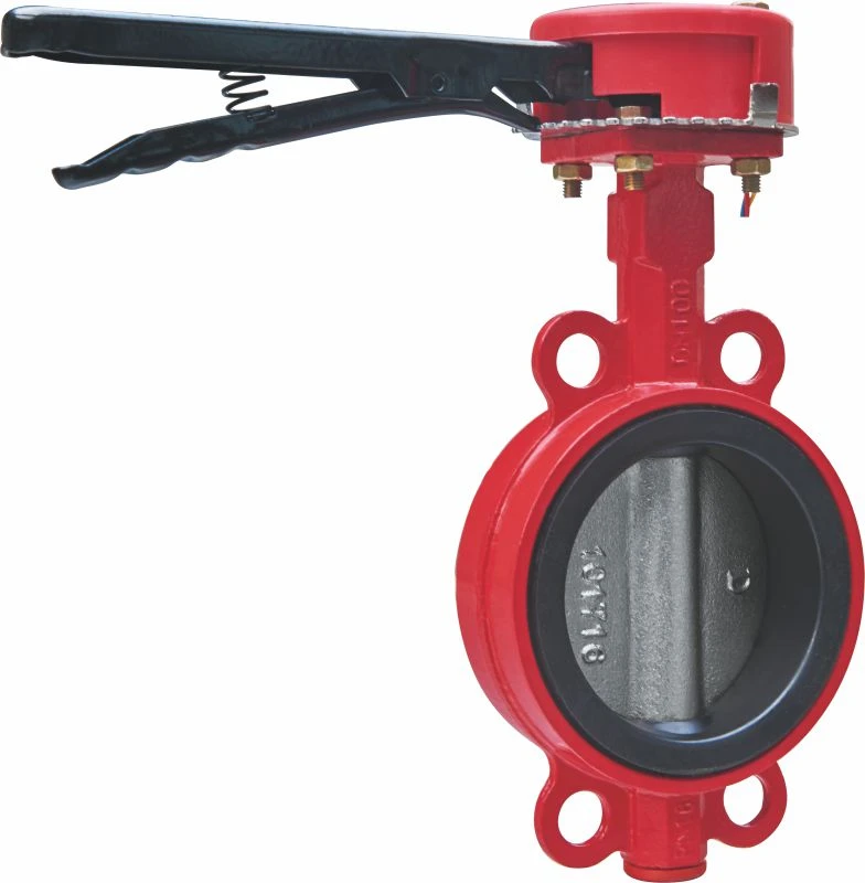 Cast Iron Butterfly Valve